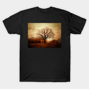 Winter Tree in Tooting Common T-Shirt